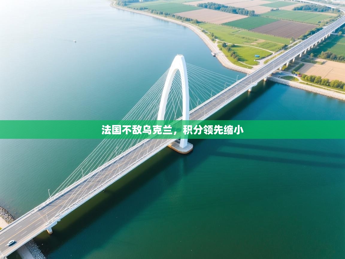 法国不敌乌克兰,积分领先缩小