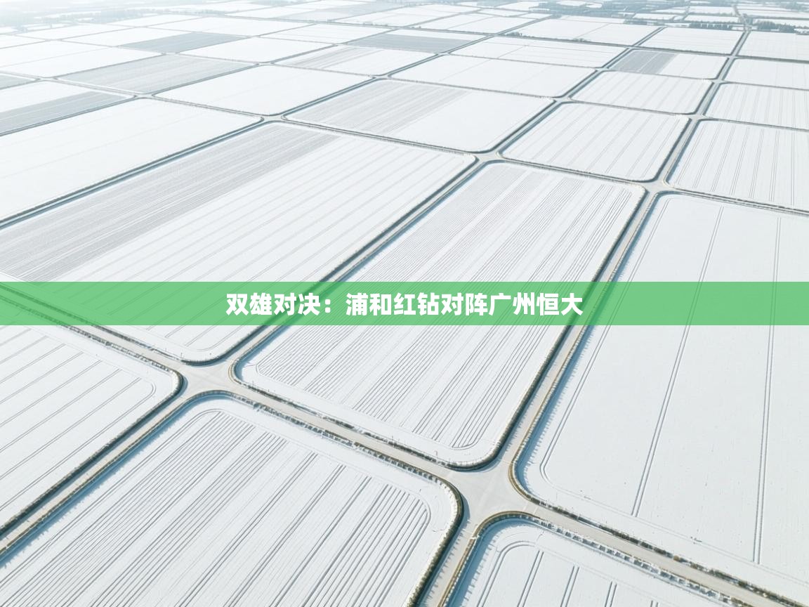 双雄对决:浦和红钻对阵广州恒大