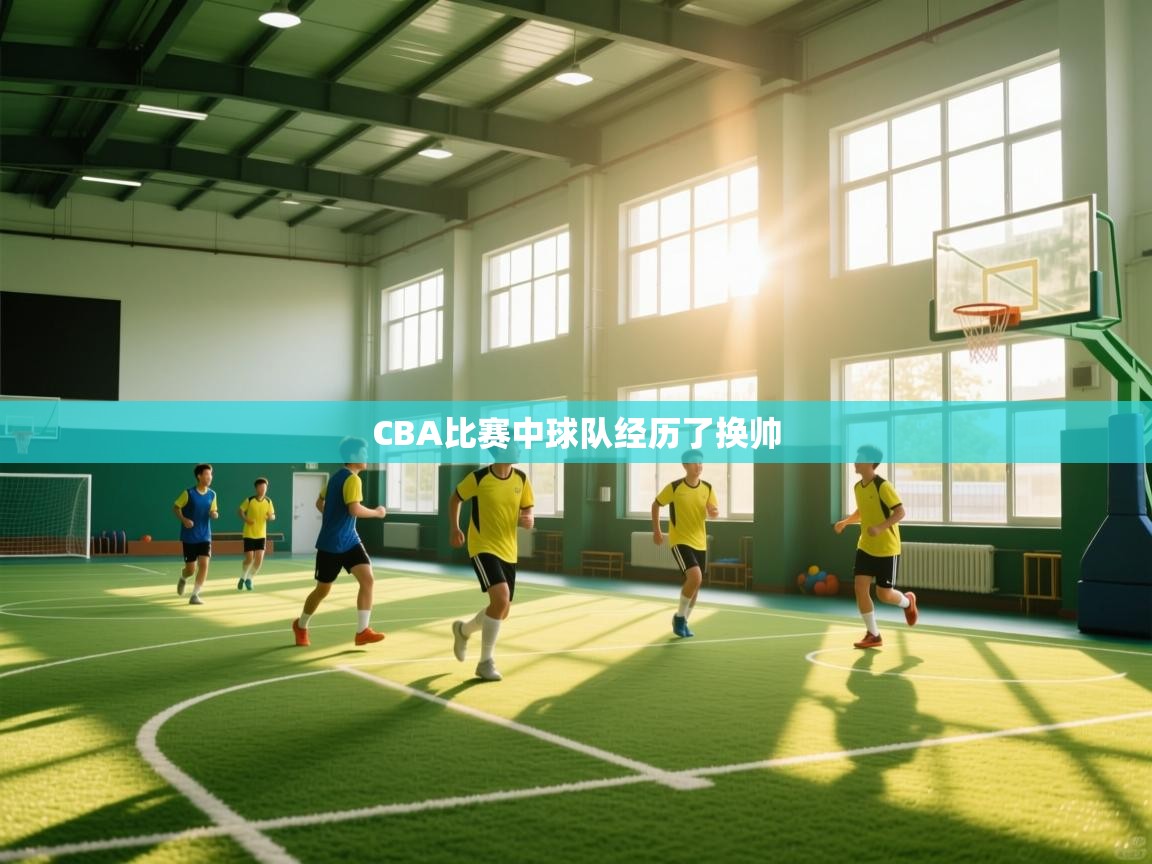 CBA比赛中球队经历了换帅  第1张