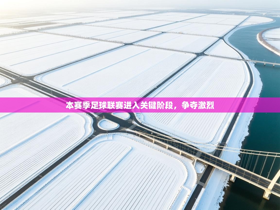 本赛季足球联赛进入关键阶段，争夺激烈  第1张