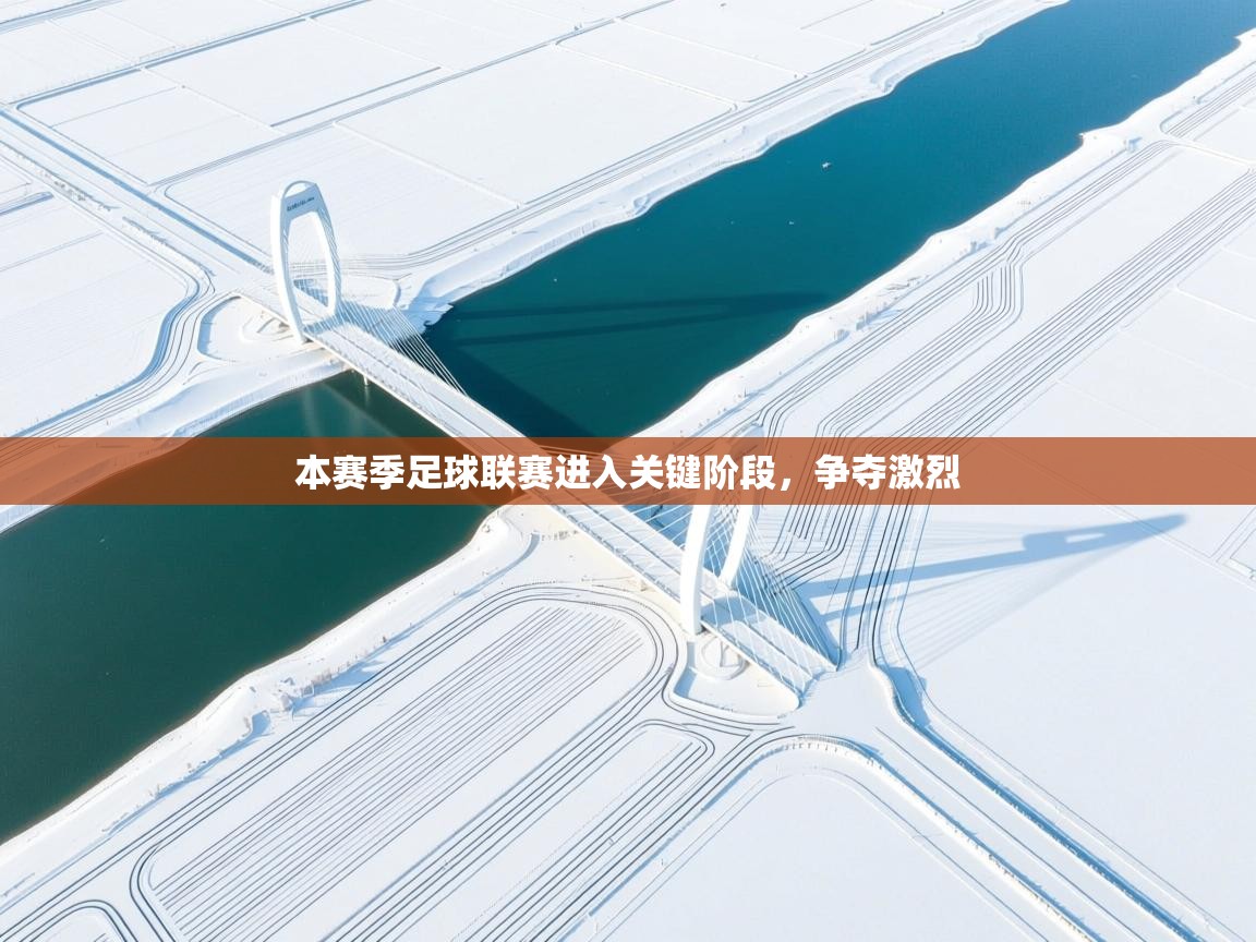 本赛季足球联赛进入关键阶段，争夺激烈  第2张